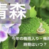 aomori-tsuyu