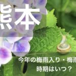 熊本県(北九州地方)2023年の梅雨入りと梅雨明け宣言はいつ？例年の時期や傾向も！
