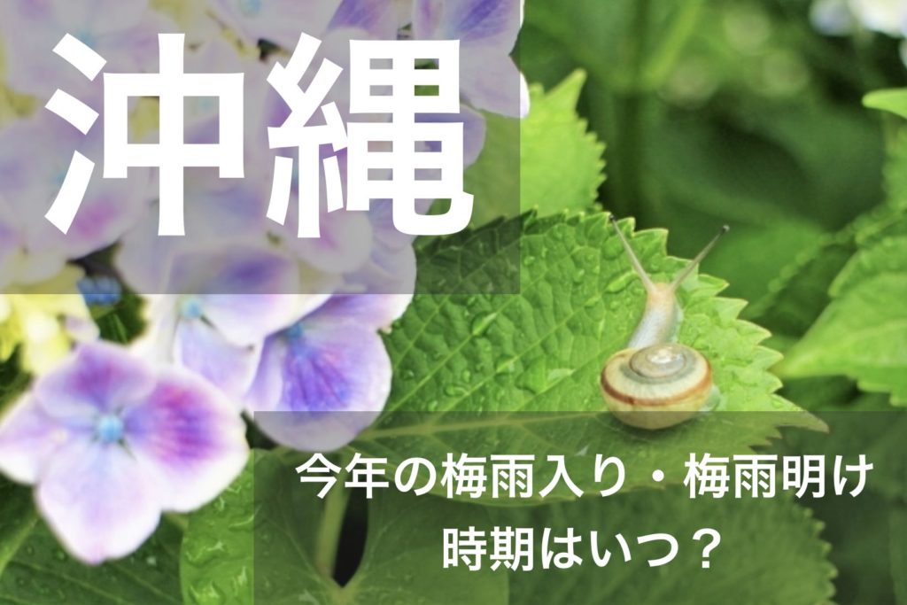 okinawa-tsuyu