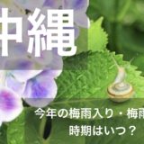 okinawa-tsuyu