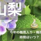 yamanashi-tsuyu