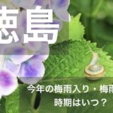 tokushima-tsuyu
