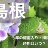 shimane-tsuyu