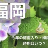 hukuoka-tsuyu