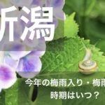 niigata-tsuyu