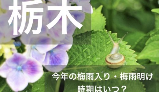 栃木県(関東地方)2023年の梅雨入りと梅雨明け宣言はいつ？例年の時期や傾向も！