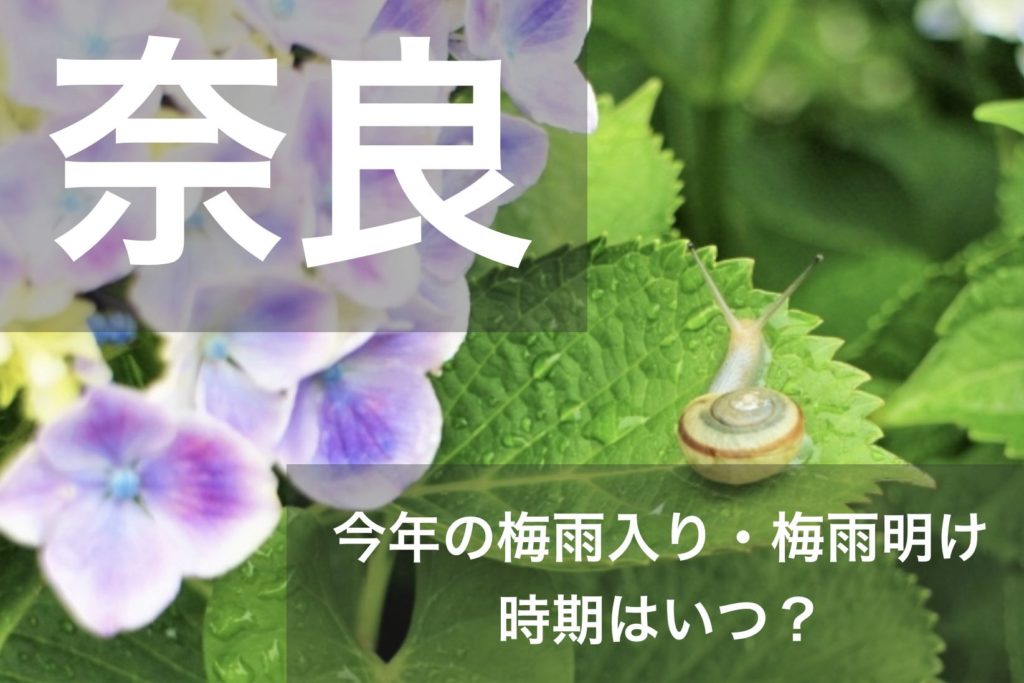 nara-tsuyu