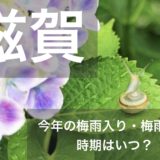 shiga-tsuyu
