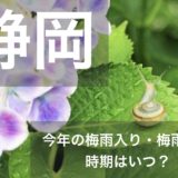 shizuoka-tsuyu-01