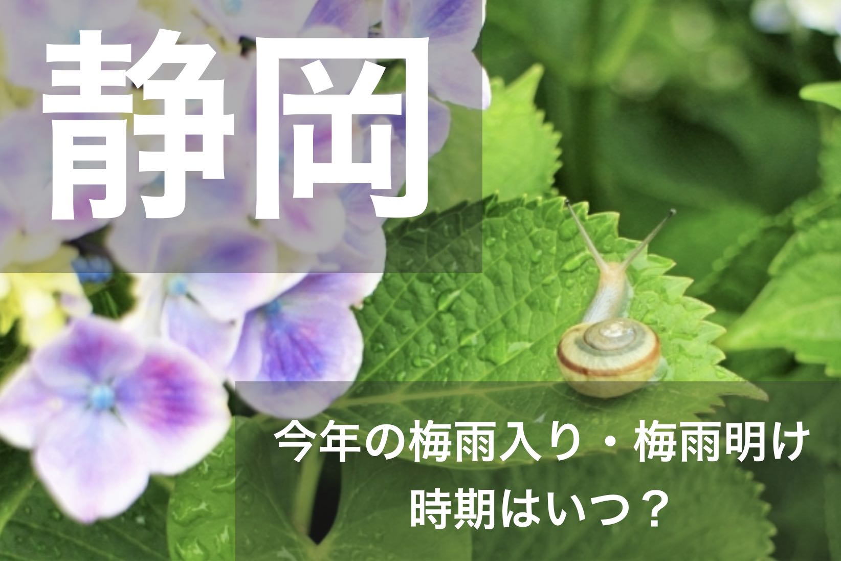 静岡県 東海地方 21年の梅雨入りと梅雨明け宣言はいつ 例年の時期や傾向も ジェットスリーパー