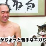 江頭2:50とネコのえだまめ