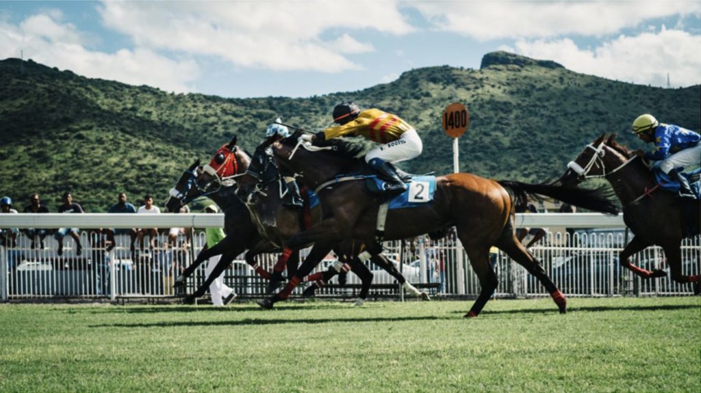 競馬